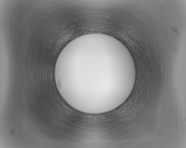 X0000116650720200912141006