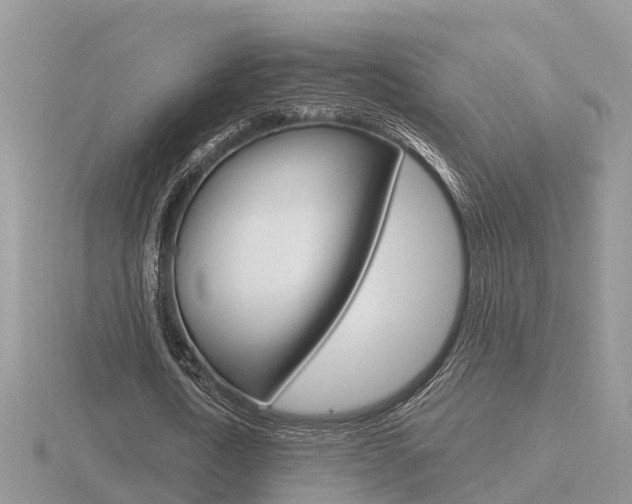 X0000116650722200912141005