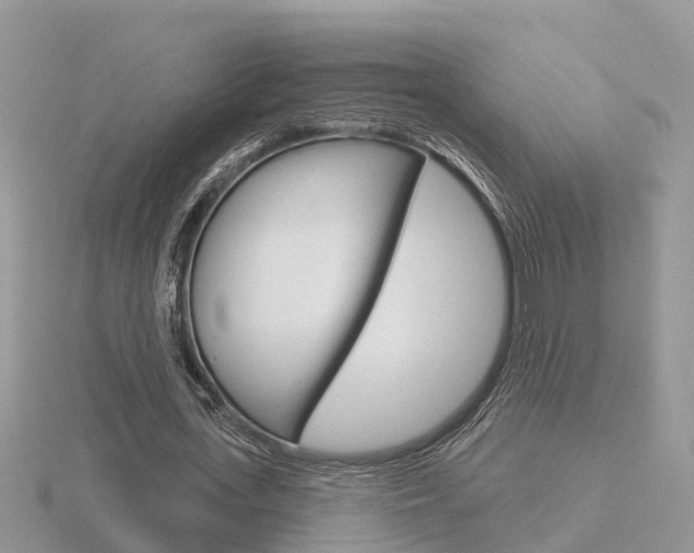 X0000116650723200912141005