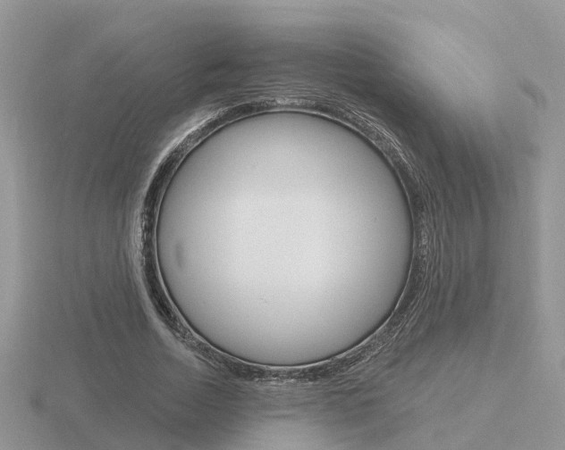 X0000116650730200912141005
