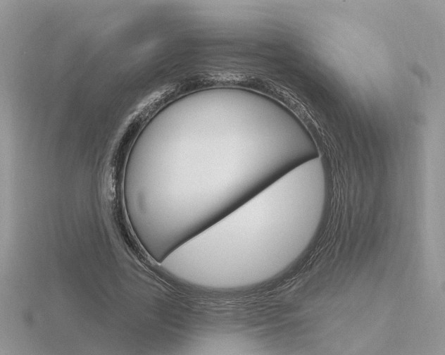 X0000116650731200912141005