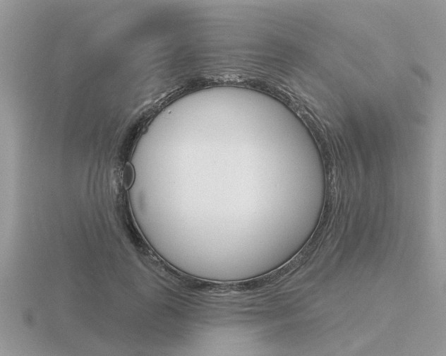 X0000116650747200912141005