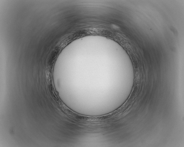 X0000116650749200912141005