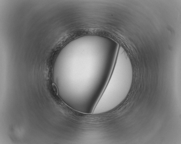 X0000116650750200912141005