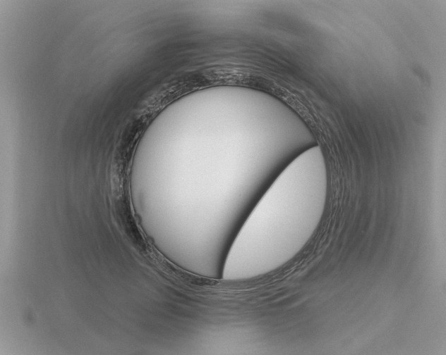 X0000116650751200912141005