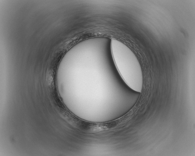 X0000116650754200912141006