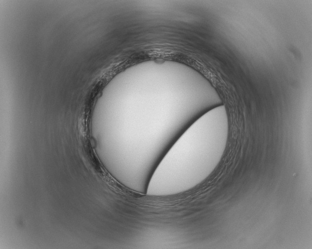 X0000116650755200912141006
