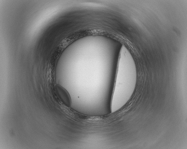 X0000116650762200912141006