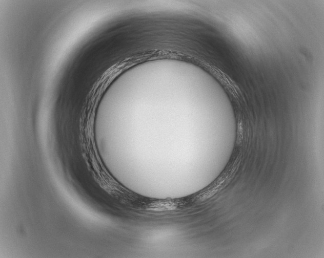 X0000116650765200912141006