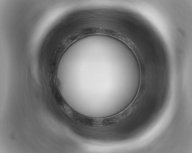 X0000116650766200912141006