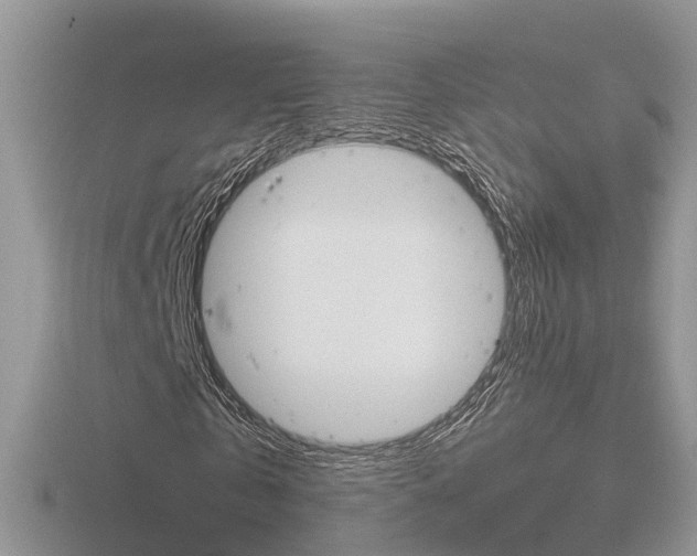 X0000116650769200912141005