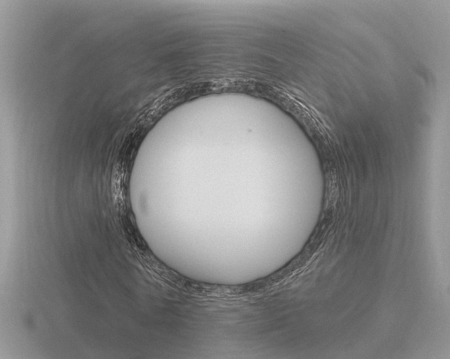 X0000116650770200912141005