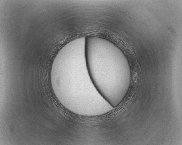 X0000116650772200912141005