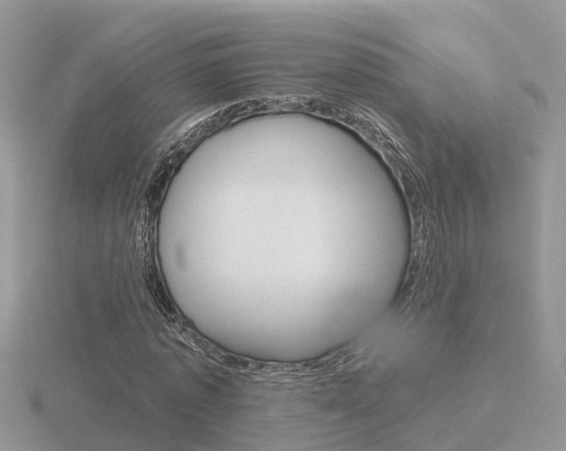 X0000116650773200912141005