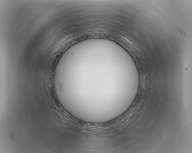 X0000116650774200912141005