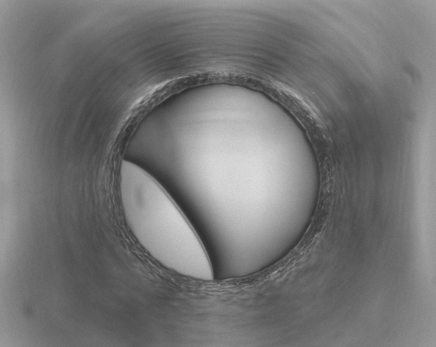 X0000116650776200912141005