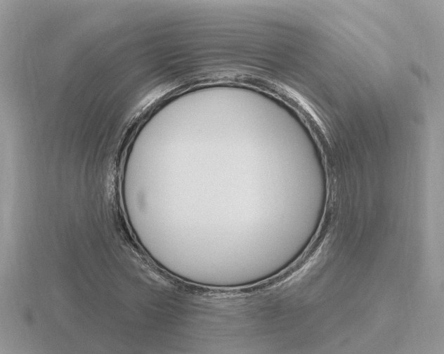 X0000116650778200912141005