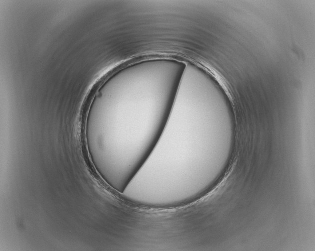 X0000116650779200912141005