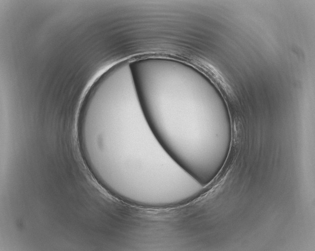 X0000116650780200912141005