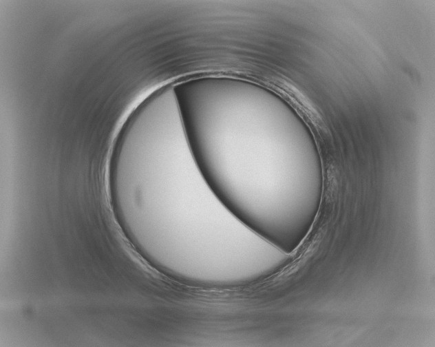X0000116650788200912141005