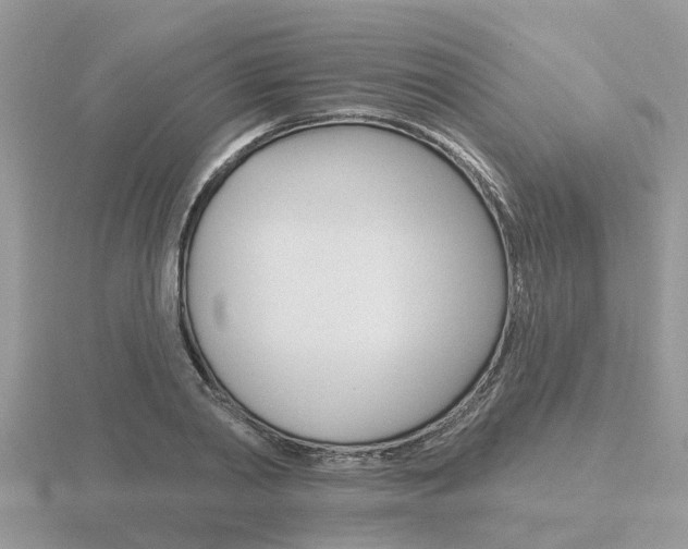 X0000116650790200912141005