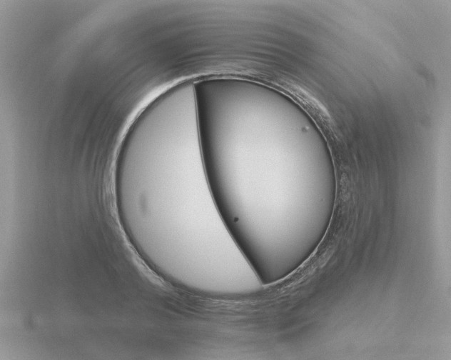X0000116650792200912141005