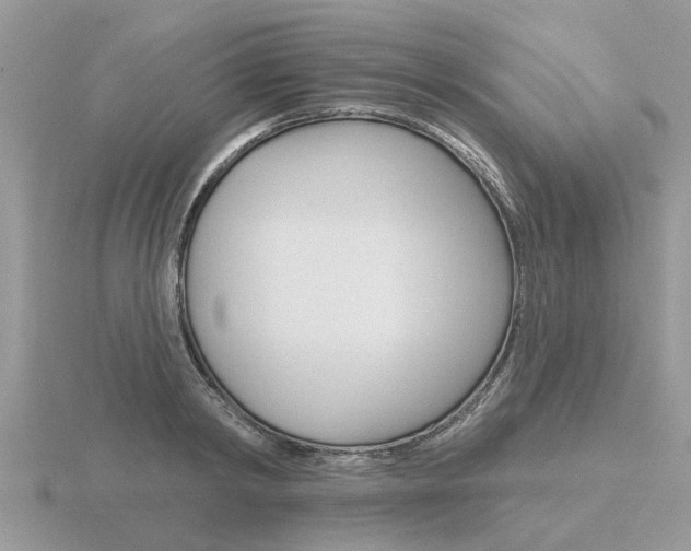 X0000116650798200912141005