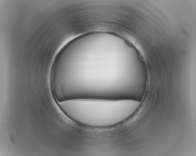 X0000116650803200912141005