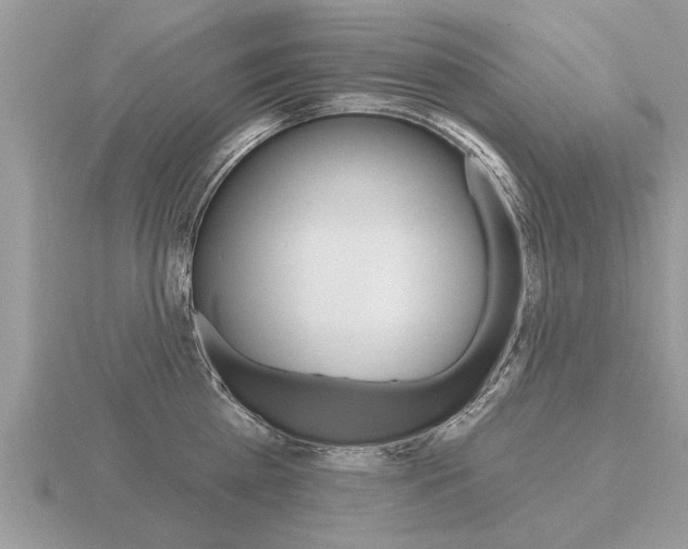 X0000116650809200912141005