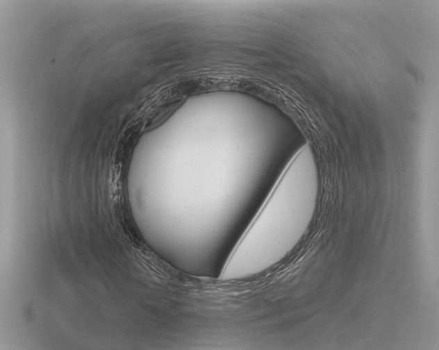 X0000116650818200912141004