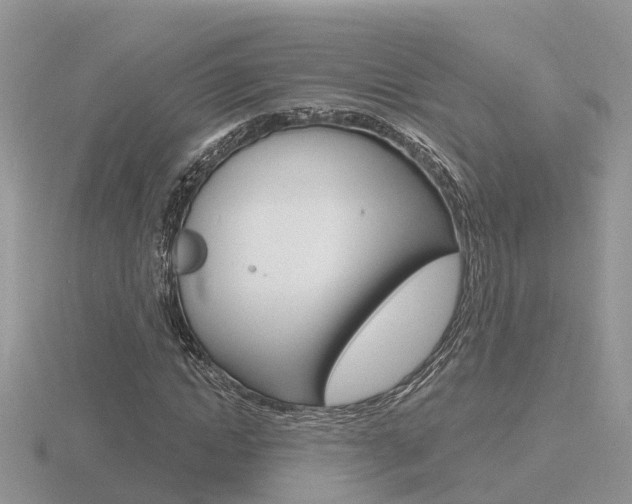 X0000116650822200912141004