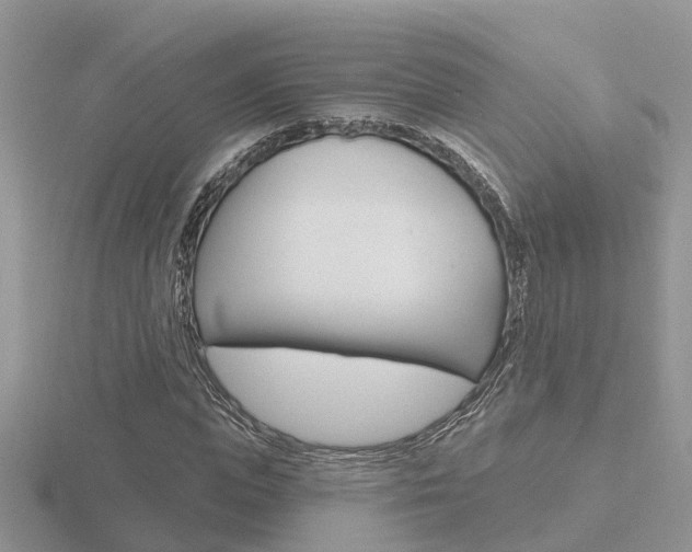 X0000116650823200912141004