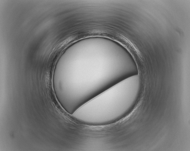 X0000116650825200912141004