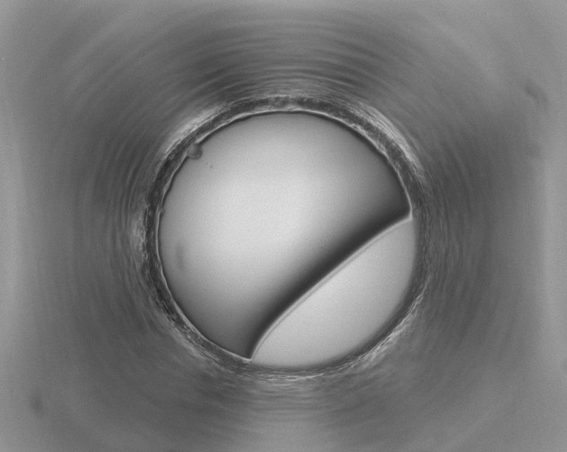 X0000116650826200912141004