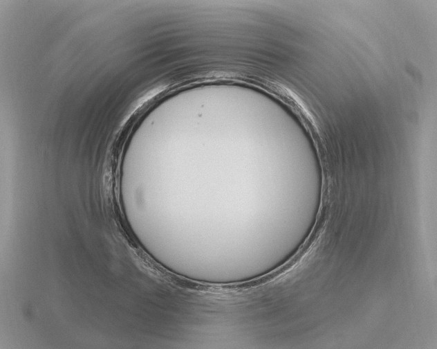 X0000116650827200912141004