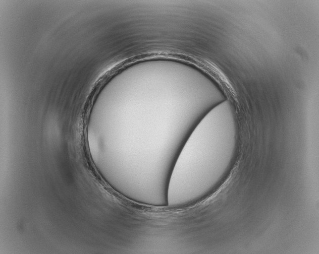 X0000116650831200912141004