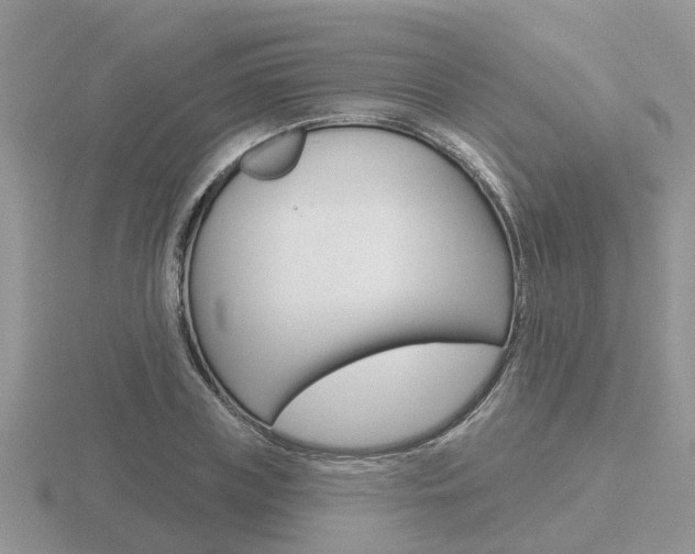 X0000116650835200912141004