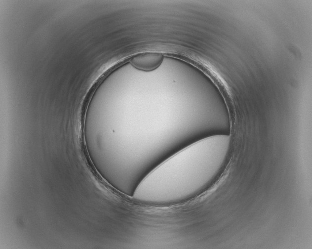 X0000116650837200912141004
