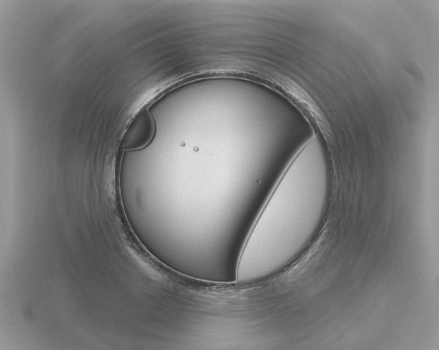 X0000116650842200912141004