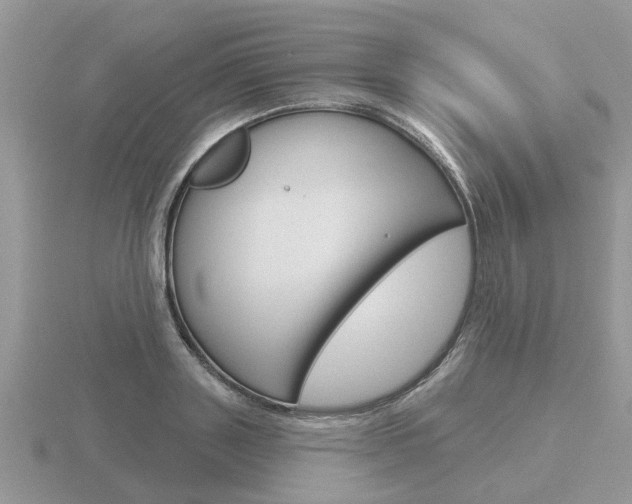 X0000116650843200912141004