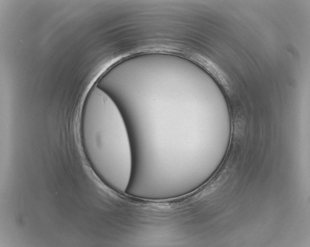 X0000116650844200912141004