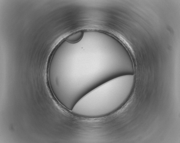 X0000116650845200912141004