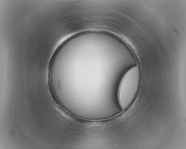 X0000116650846200912141004
