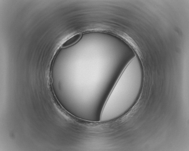 X0000116650850200912141004