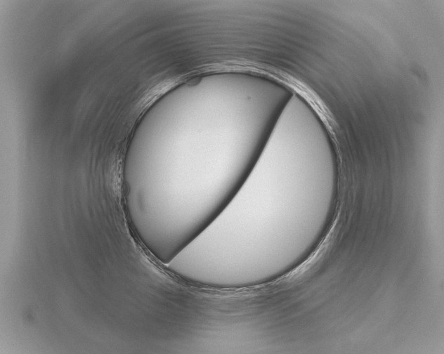 X0000116650857200912141004