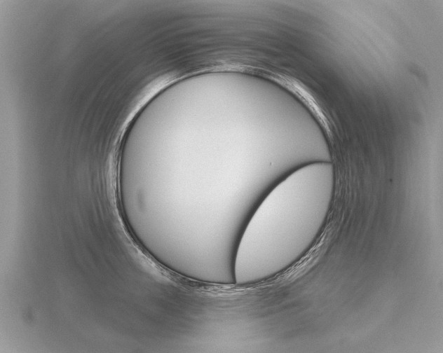 X0000116650859200912141004