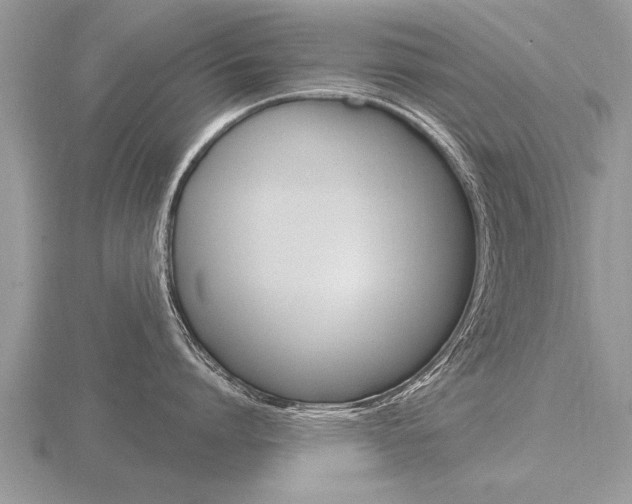 X0000116650864200912141004