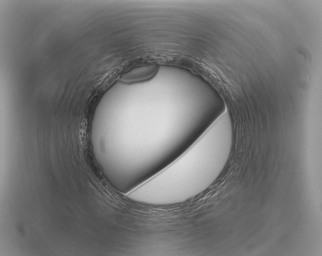 X0000116650867200912141004