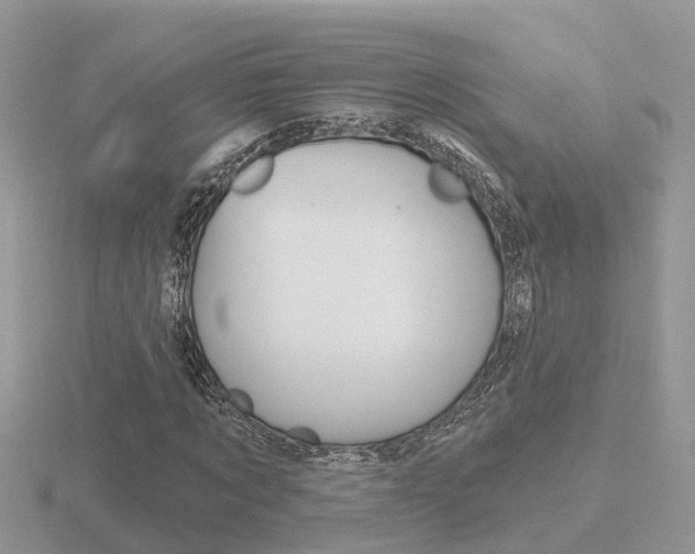 X0000116650869200912141004
