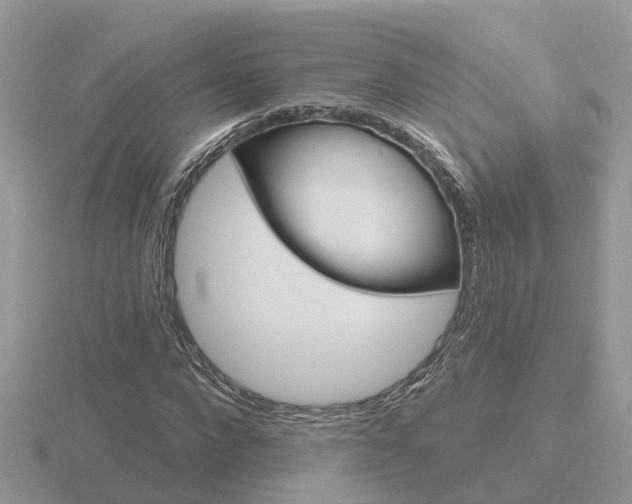 X0000116650872200912141004